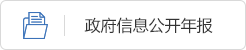 政府信息公开年报