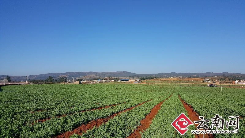 clip_image001.jpg clip_image001.jpg