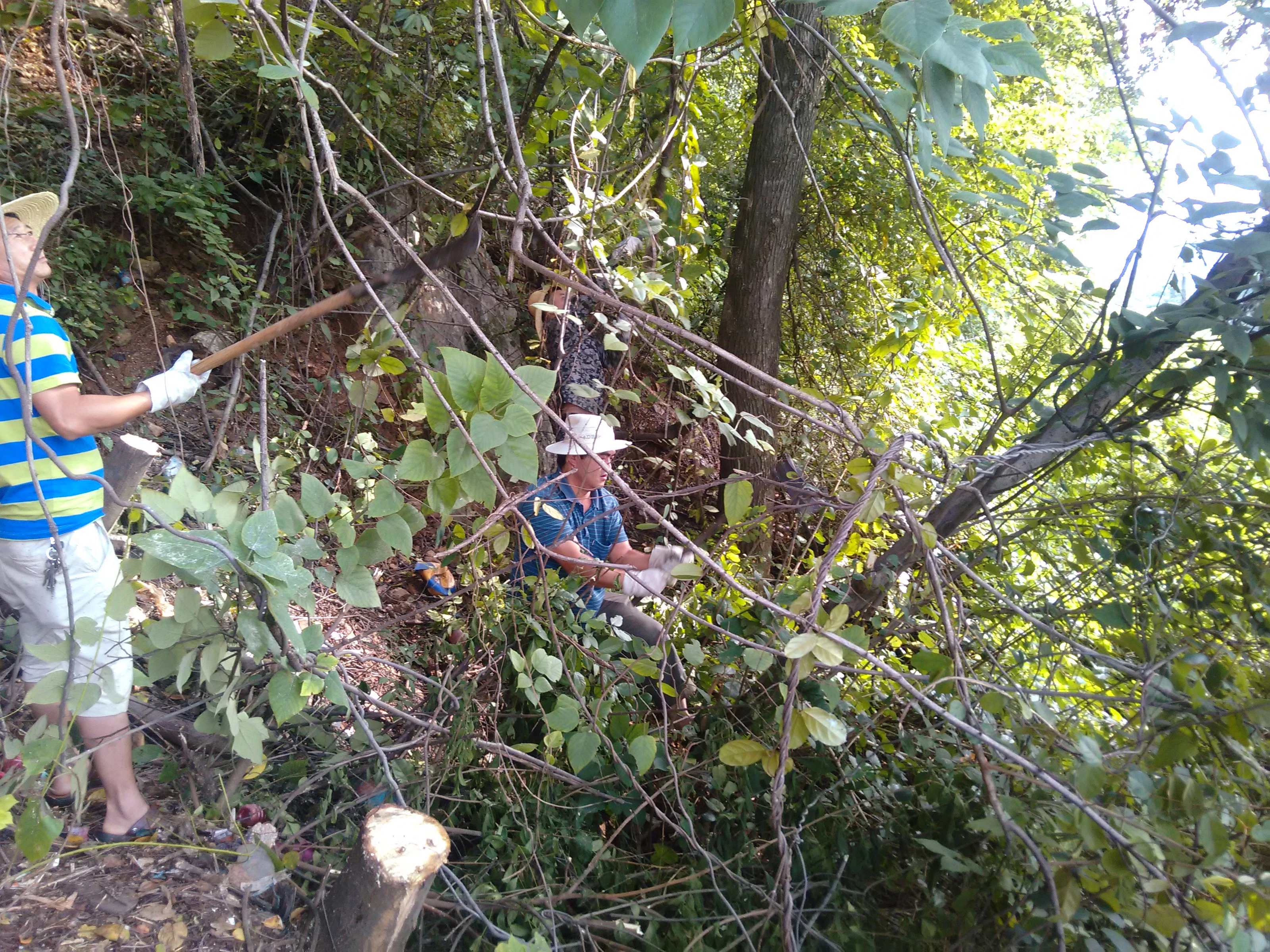 弥勒市竹朋灌区管理处消除云洞电站汛期输电安全隐患 .jpg