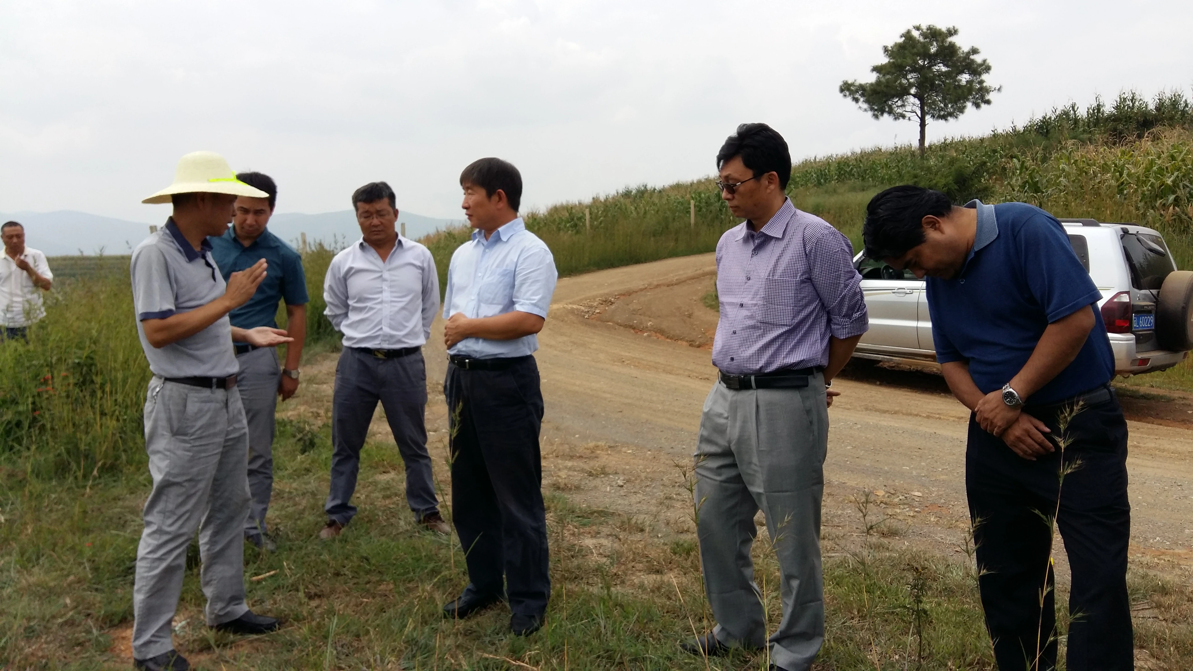 2016年9月13日胡副厅长到宾川调研高效节水灌溉项目.jpg 2016年9月13日胡副厅长到宾川调研高效节水灌溉项目.jpg