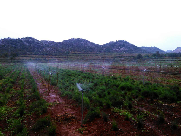 7月 001-600.jpg 7月 001-600.jpg