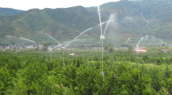 柑桔基地喷灌设施-600.jpg